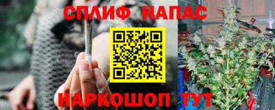 стафф Апшеронск