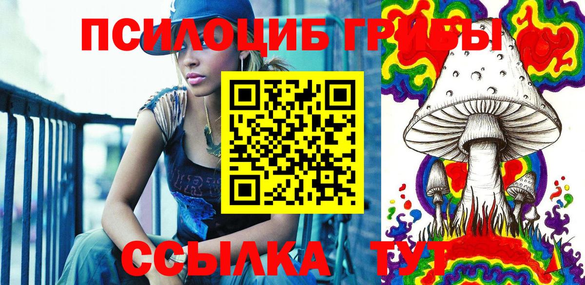 Галлюциногенные грибы Psilocybe Великий Новгород